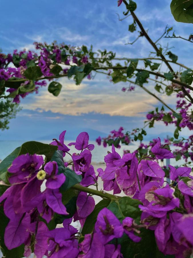 Du Lac Aparments Desenzano del Garda Luaran gambar